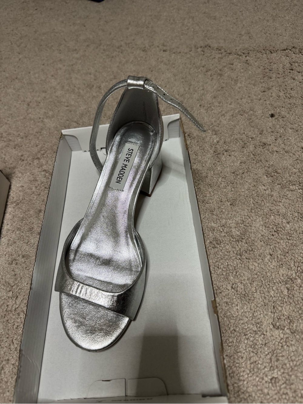 Steve Madden Metallic Silver Ankle-Tie Block Heel Sandals